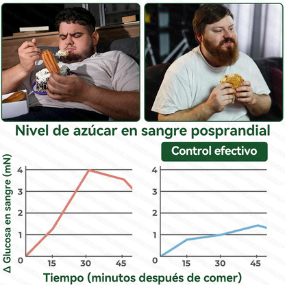 Tienda Oficial | 🍀🍀 GLORENDA® Moringa · Berberina × NAD+ Parche nano de microneedles avanzado 10-en-1(Solo una vez al día, cambios visibles en 7 días)✅ Para la obesidad, piel flácida, diabetes, apnea del sueño, problemas articulares y más.