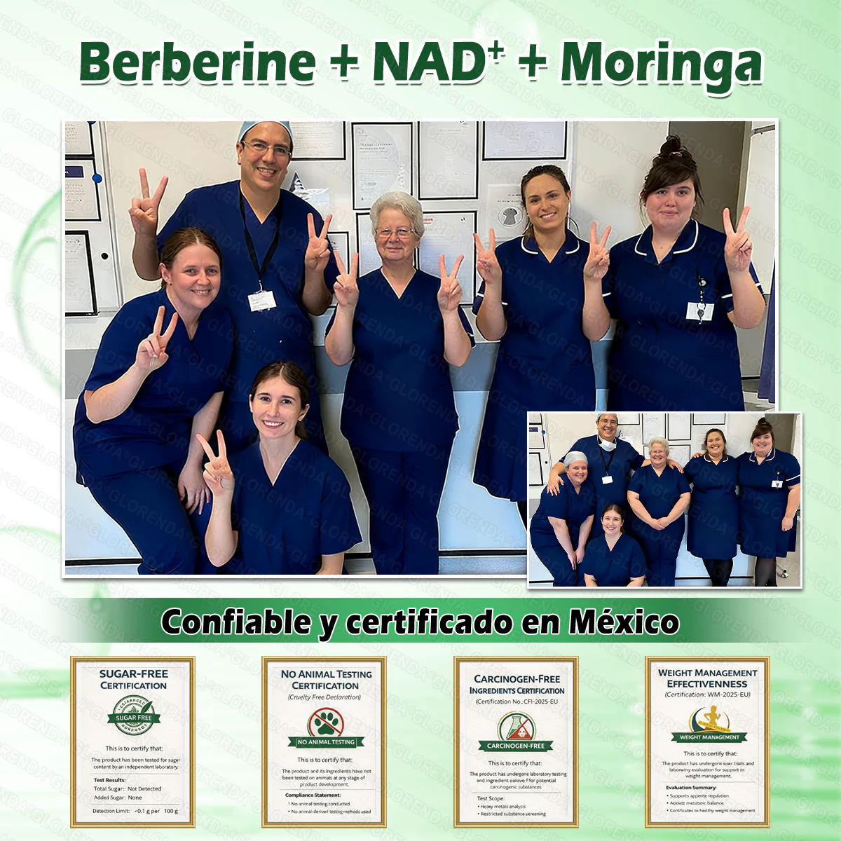 Tienda Oficial | 🍀🍀 GLORENDA® Moringa · Berberina × NAD+ Parche nano de microneedles avanzado 10-en-1(Solo una vez al día, cambios visibles en 7 días)✅ Para la obesidad, piel flácida, diabetes, apnea del sueño, problemas articulares y más.