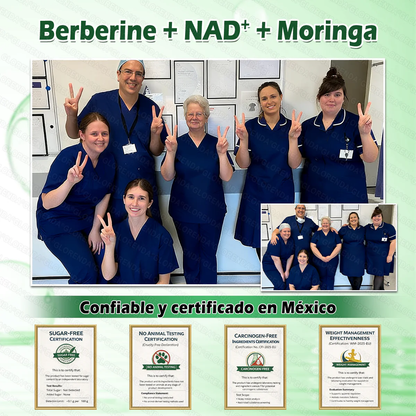 Tienda Oficial | 🍀🍀 GLORENDA® Moringa · Berberina × NAD+ Parche nano de microneedles avanzado 10-en-1(Solo una vez al día, cambios visibles en 7 días)✅ Para la obesidad, piel flácida, diabetes, apnea del sueño, problemas articulares y más.