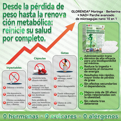Tienda Oficial | 🍀🍀 GLORENDA® Moringa · Berberina × NAD+ Parche nano de microneedles avanzado 10-en-1(Solo una vez al día, cambios visibles en 7 días)✅ Para la obesidad, piel flácida, diabetes, apnea del sueño, problemas articulares y más.